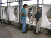 Cow Cooling Dairy Fans